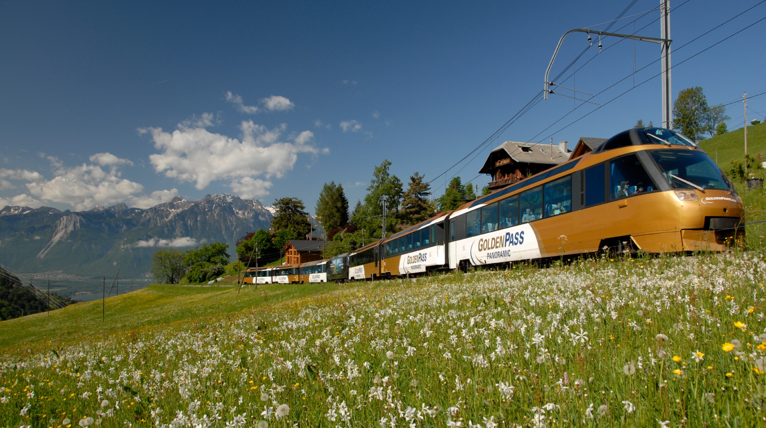 Golden Pass